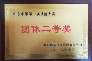 團體二等獎